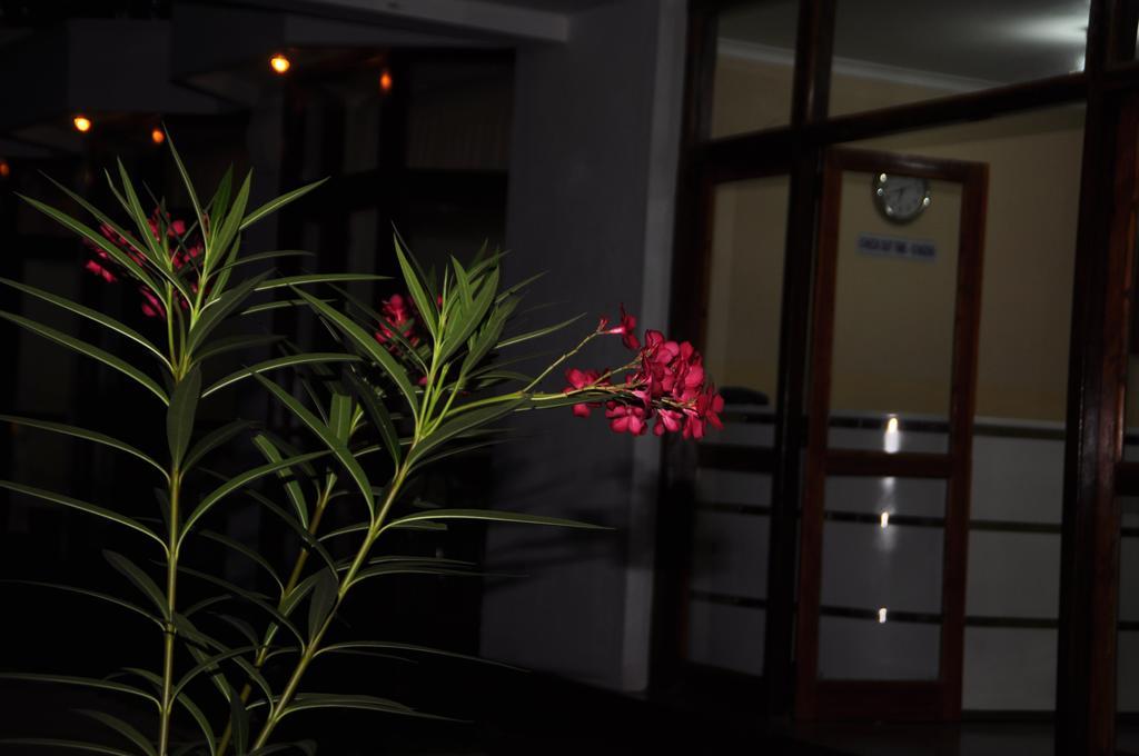 Hotel Melbourne Tourist Rest Anuradhapura Zewnętrze zdjęcie